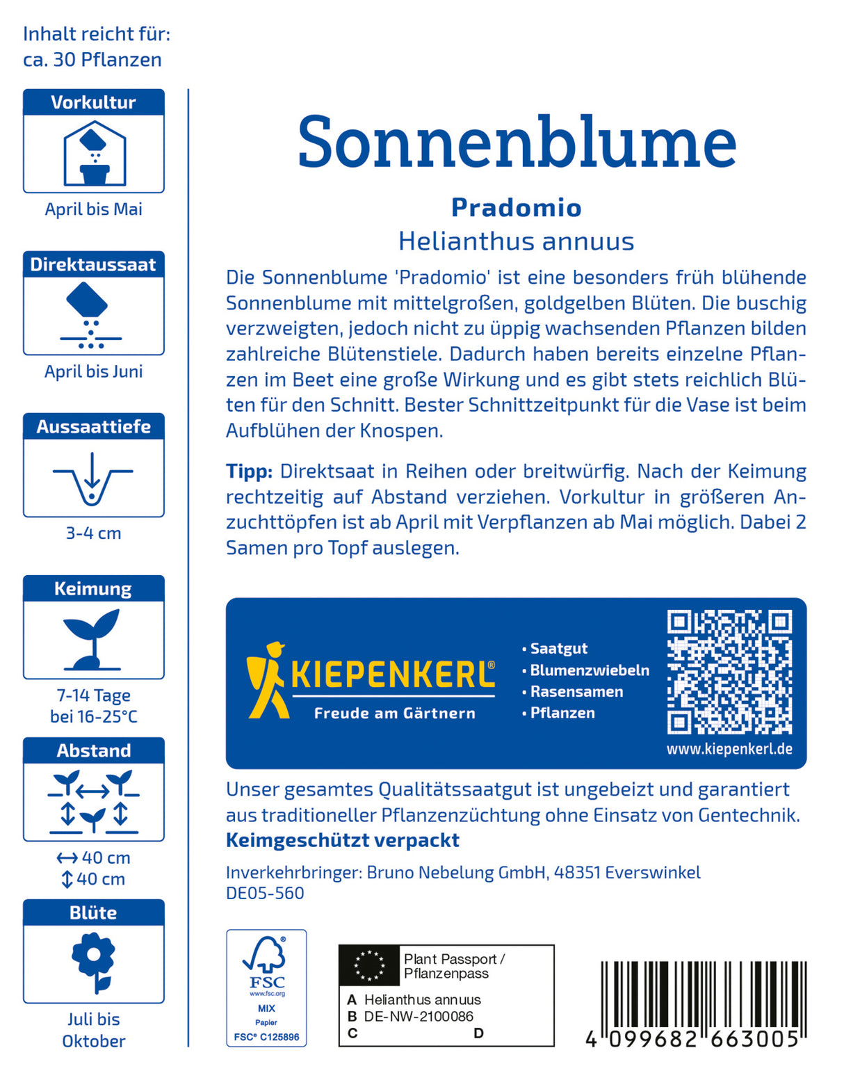 seminte floarea soarelui pradomio