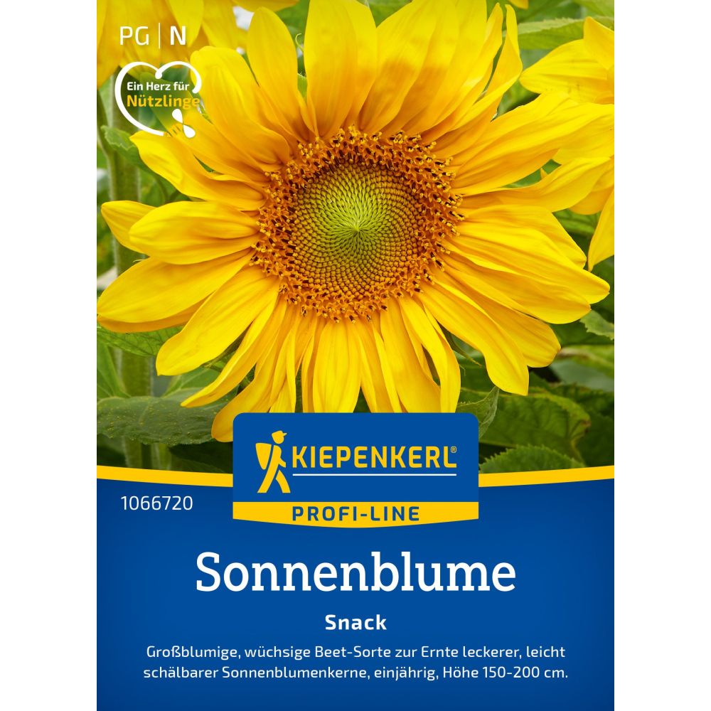 seminte floarea soarelui snack