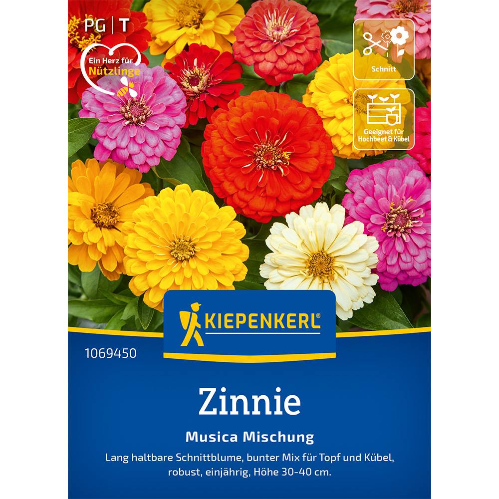 Seminte de zinnia Musica – amestec armonios, ajunge pentru 15 Plante