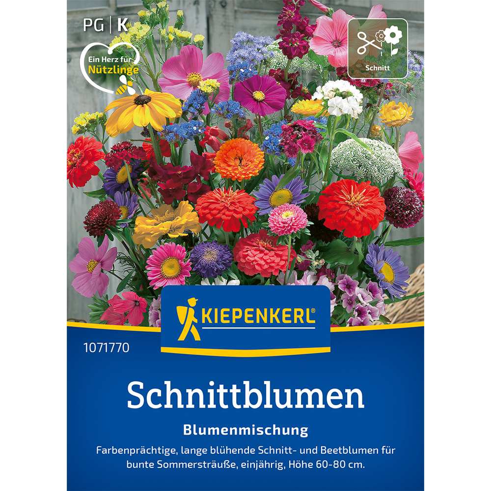 Seminte de flori pentru taiat – tulpini lungi decorative, ajunge pentru 1 - 2 m²