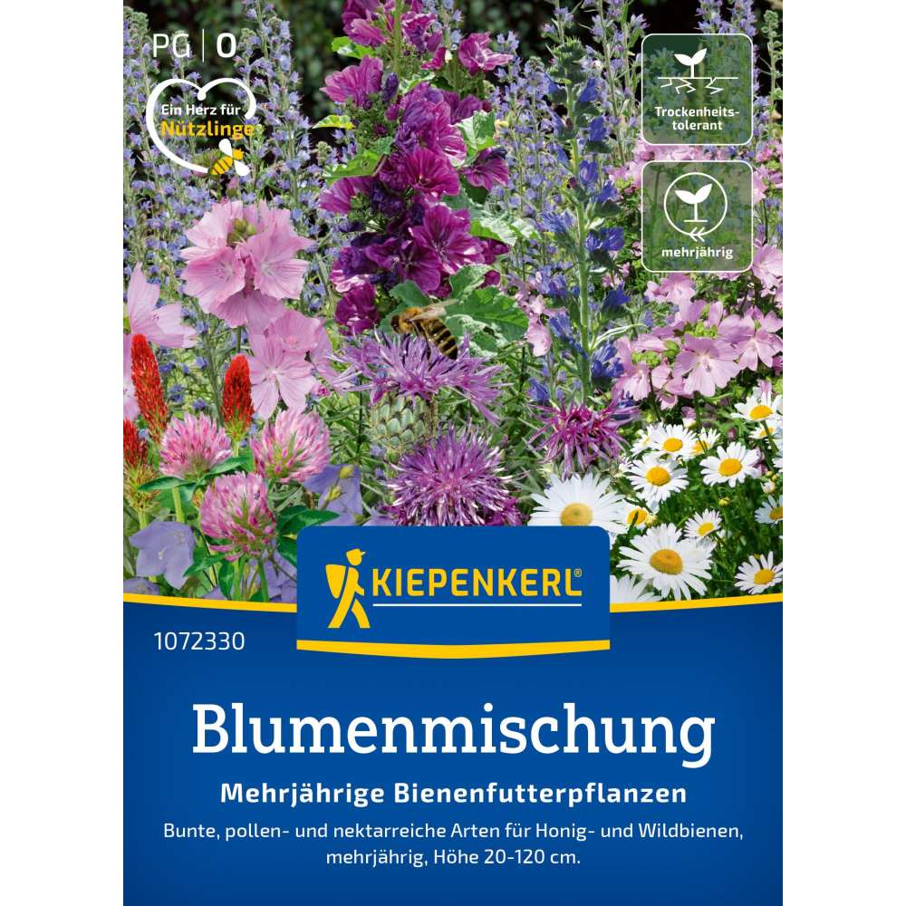 seminte plante melifere