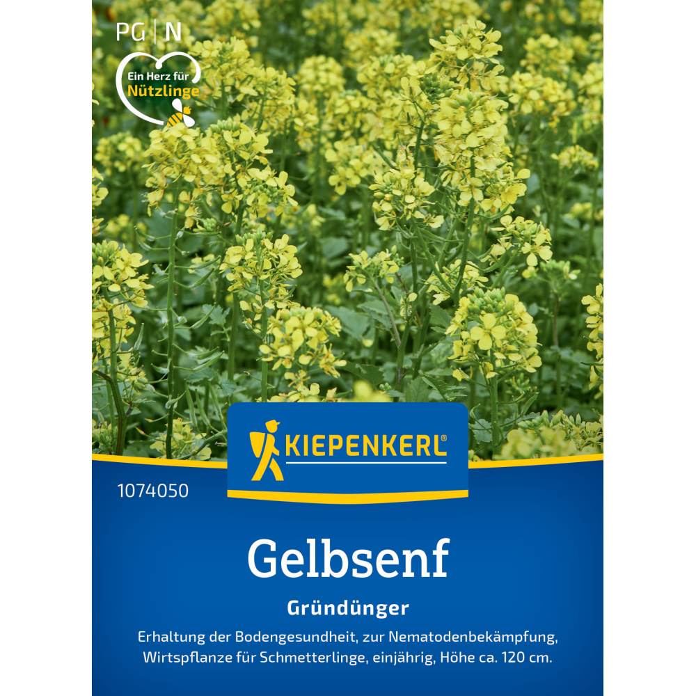 Seminte de mustar galben – soi Weisssamiger, ingrasamant verde, ajunge pentru 20 m², cu protectie germinatie