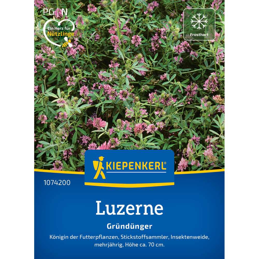 Seminte de lucerna – Alfalfa, fixator de azot pentru sol, ajunge pentru 25 m², cu protectie germinatie