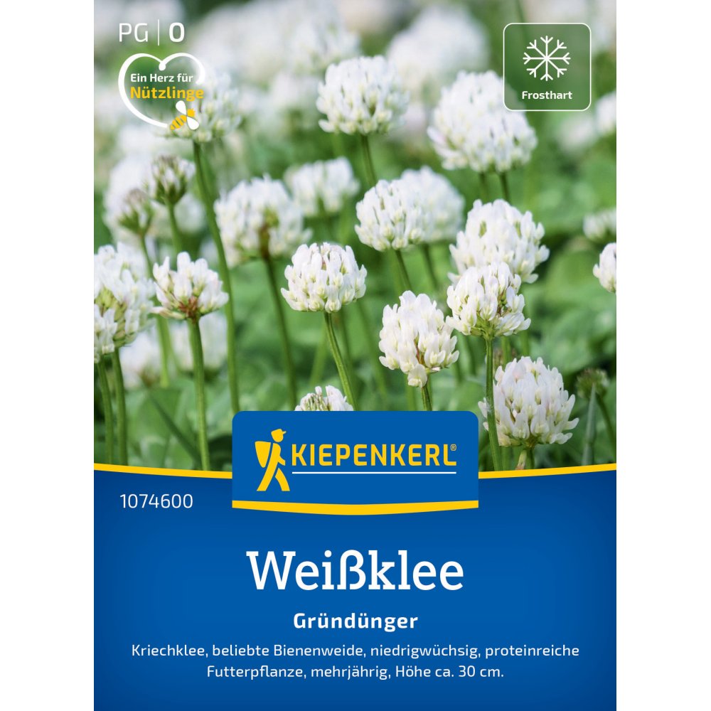 Seminte de trifoi alb tarator – acoperire sol si fixare azot, ajunge pentru 30 m²
