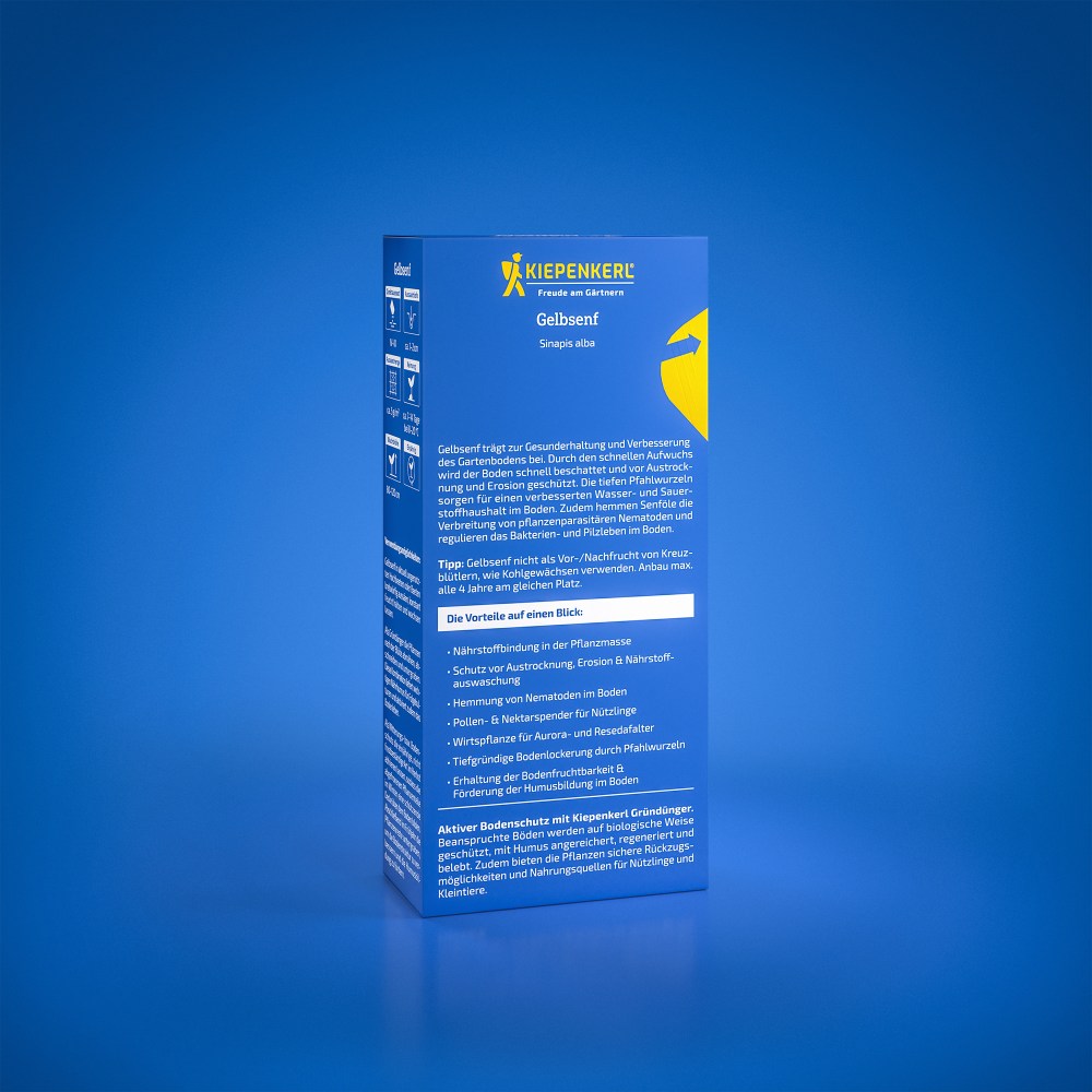 Seminte de mustar galben – 0,25 kg, cultura rapida si eficienta, ajunge pentru 50 m², cu protectie germinatie