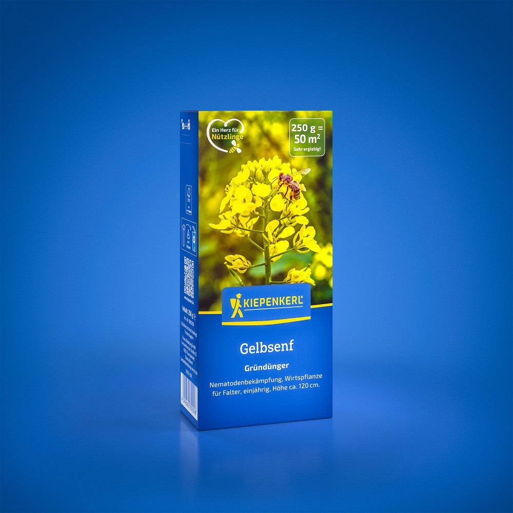 Seminte de mustar galben – 0,25 kg, cultura rapida si eficienta, ajunge pentru 50 m², cu protectie germinatie