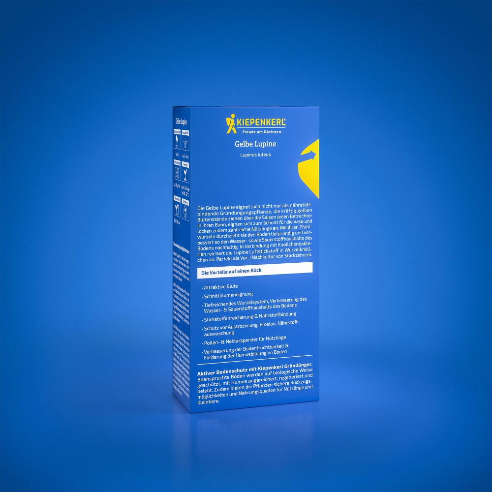 Seminte de lupin galben – 0,25 kg, ingrasamant verde, ajunge pentru 12,5 m²