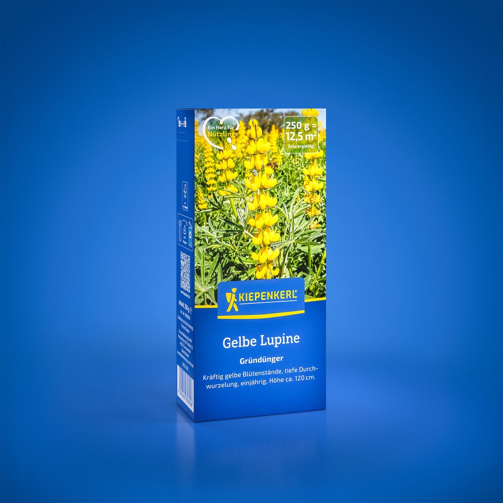 Seminte de lupin galben – 0,25 kg, ingrasamant verde, ajunge pentru 12,5 m²