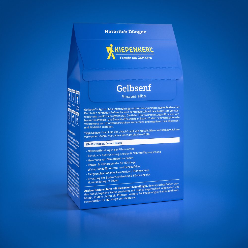 Seminte de mustar galben – 0,5 kg, cultura intercalata rapida, ajunge pentru 100 m², cu protectie germinatie