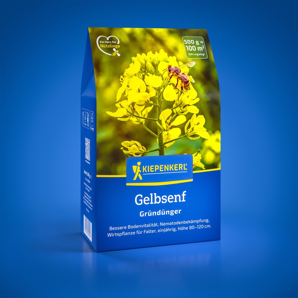 Seminte de mustar galben – 0,5 kg, cultura intercalata rapida, ajunge pentru 100 m², cu protectie germinatie