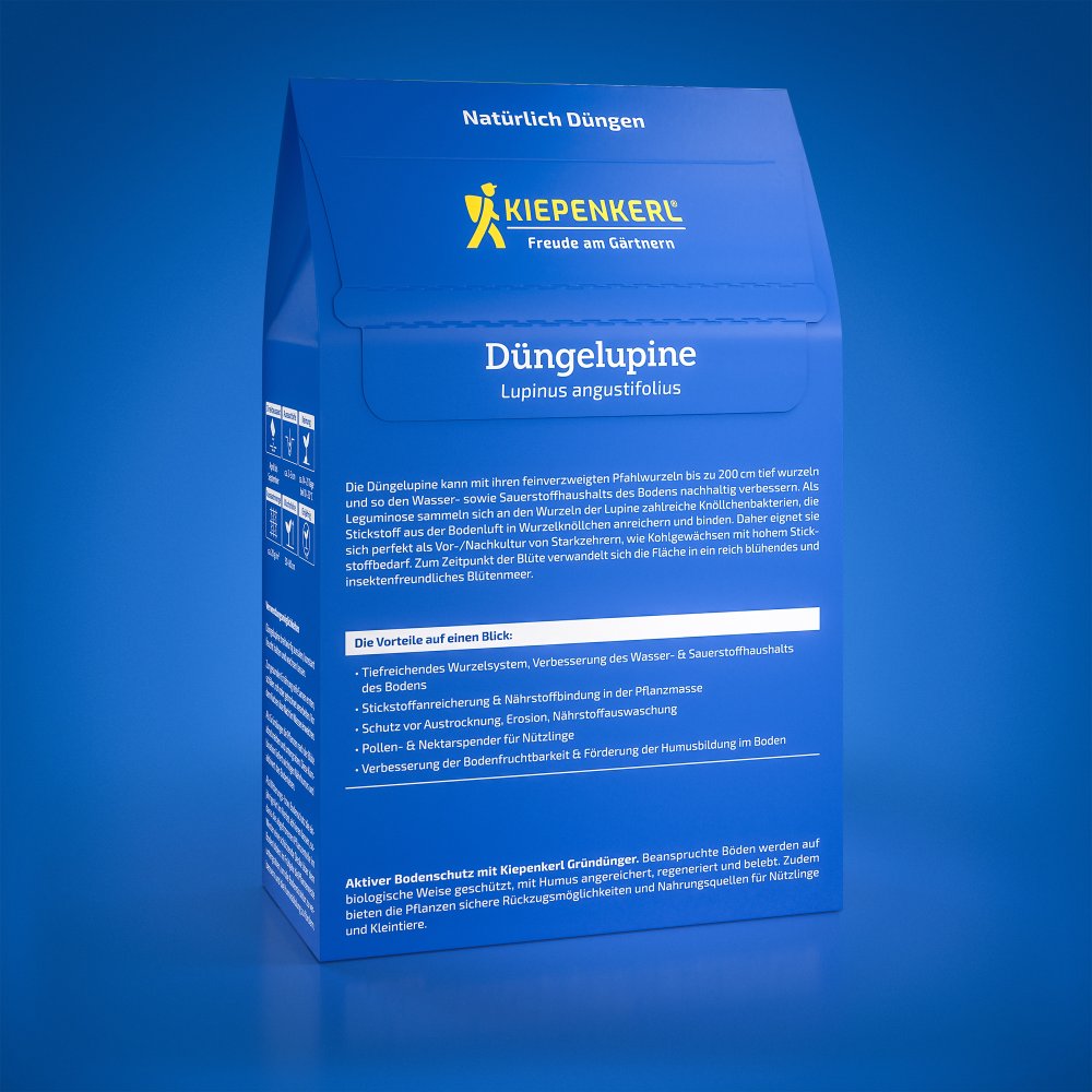 Seminte de lupin pentru ingrasamant – 0,8 kg, fertilizare naturala, ajunge pentru 40 m²