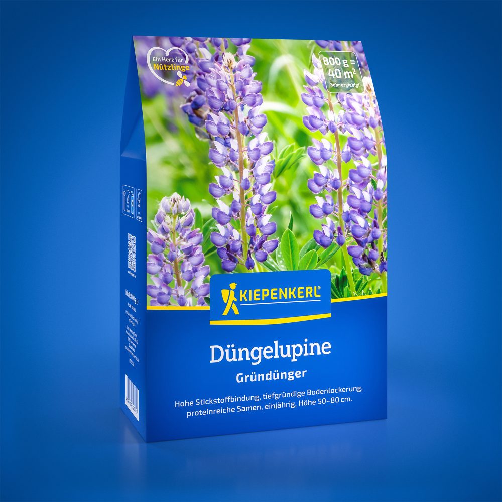 Seminte de lupin pentru ingrasamant – 0,8 kg, fertilizare naturala, ajunge pentru 40 m²