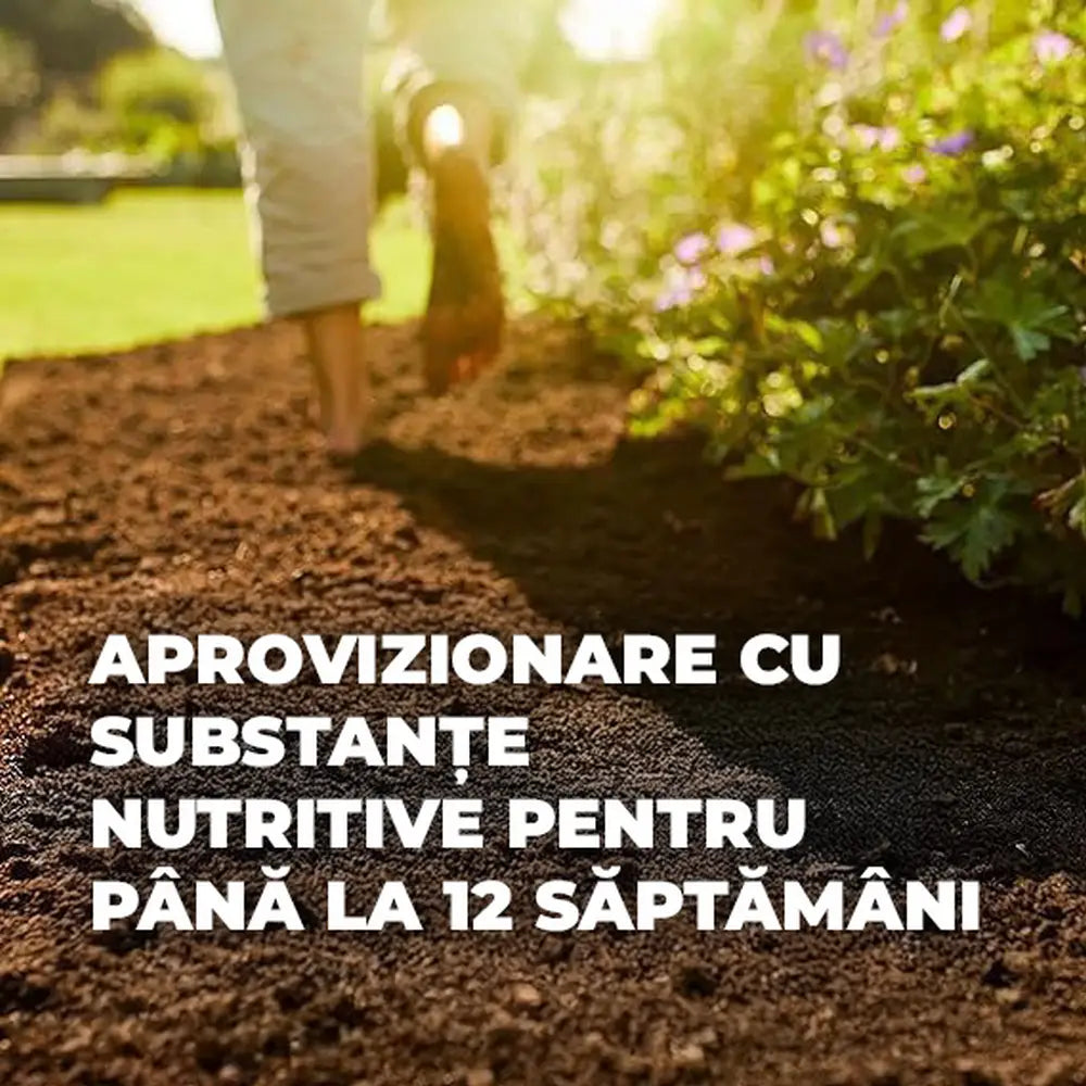 Pamant Compo Sana pentru flori de balcon si gradina 10 litri cu fertilizare 12 saptamani