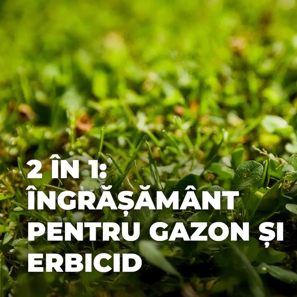 Ingrasamant gazon Compo Floranid cu erbicid 2 in 1 efect imediat si de lunga durata 1.5 kg pentru 50 mp