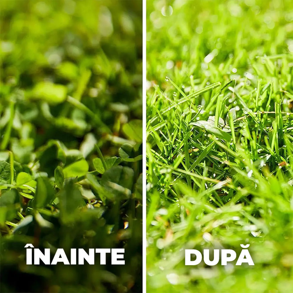 Ingrasamant gazon Compo Floranid cu erbicid 2 in 1 efect imediat si de lunga durata 1.5 kg pentru 50 mp