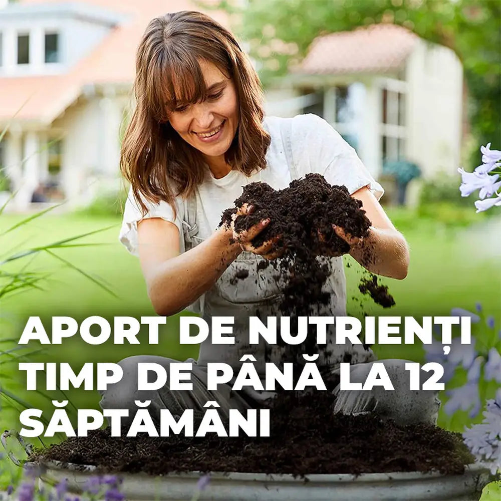 Pamant Compo Sana pentru plante verzi si palmieri 5 litri cu fertilizare 12 saptamani