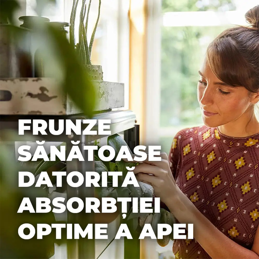 Pamant Compo Sana pentru plante verzi si palmieri 5 litri cu fertilizare 12 saptamani