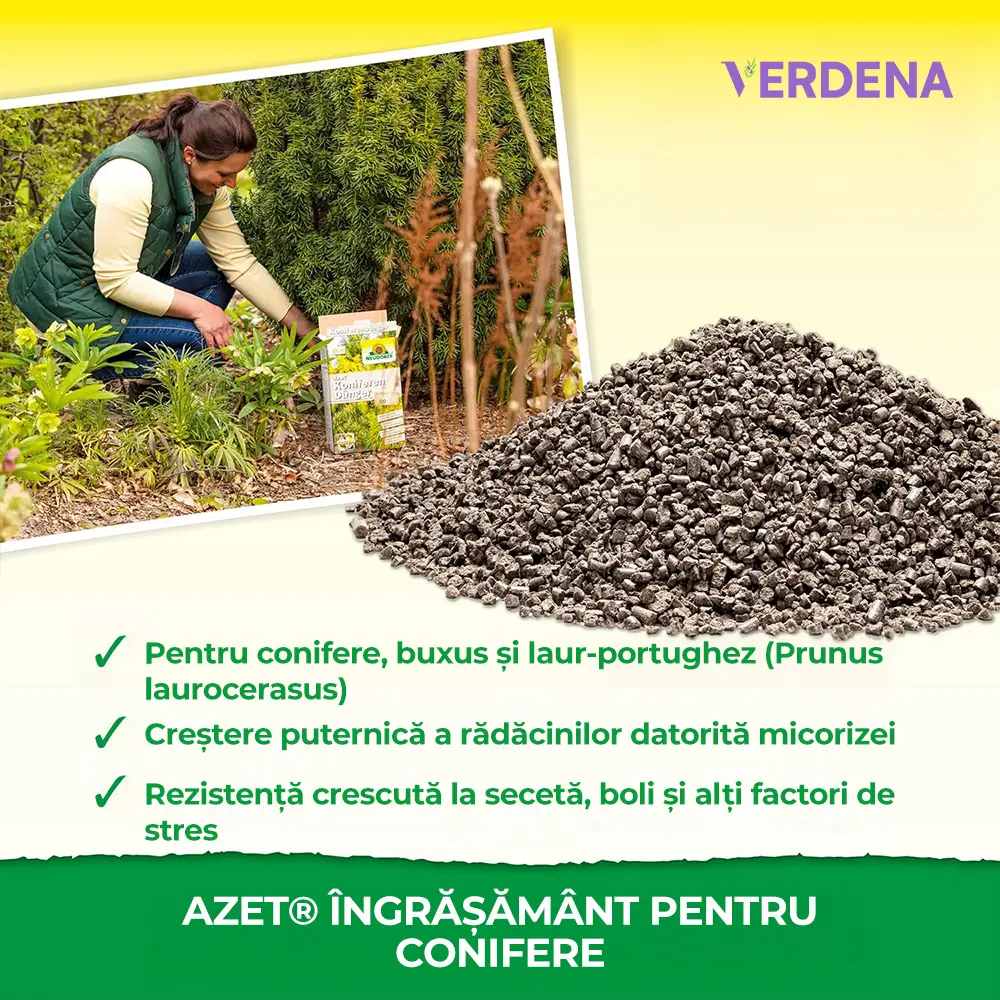 Ingrasamant organic Neudorff Azet pentru conifere si plante vesnic verzi 2.5 kg – efect imediat si prelungit pana la 100 zile