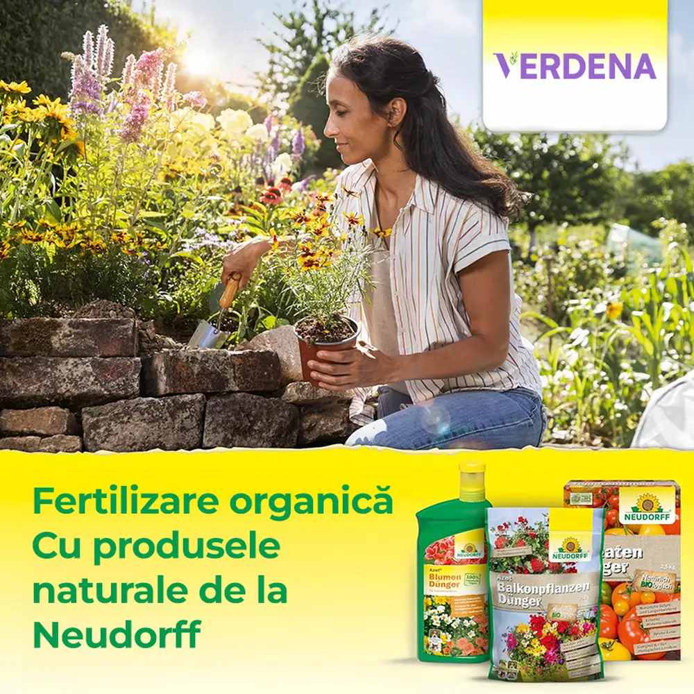 Ingrasamant organic conifere Neudorff Azet 2.5 kg, pentru frunzis verde intens si plante rezistente