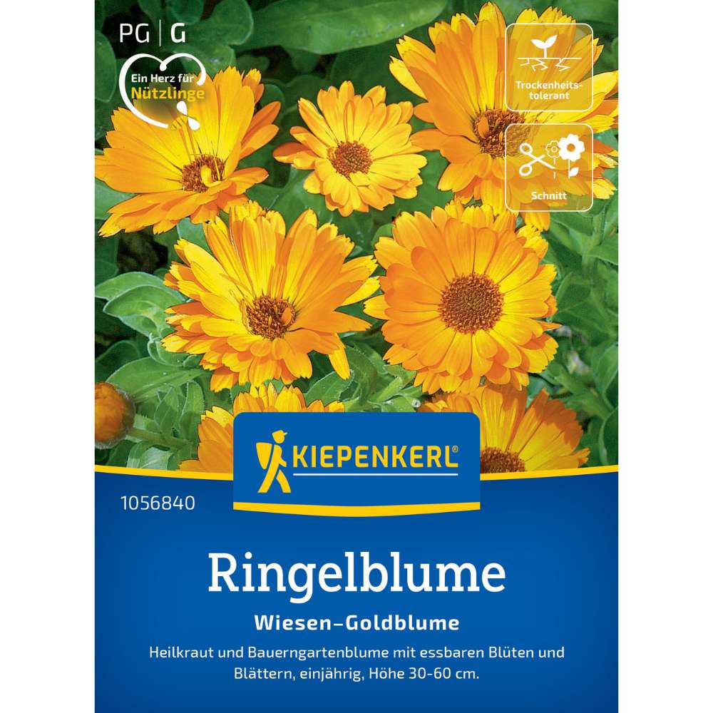 Seminte galbenele Wiesen Goldblume – inflorire abundenta si rustica, cu protectie germinatie