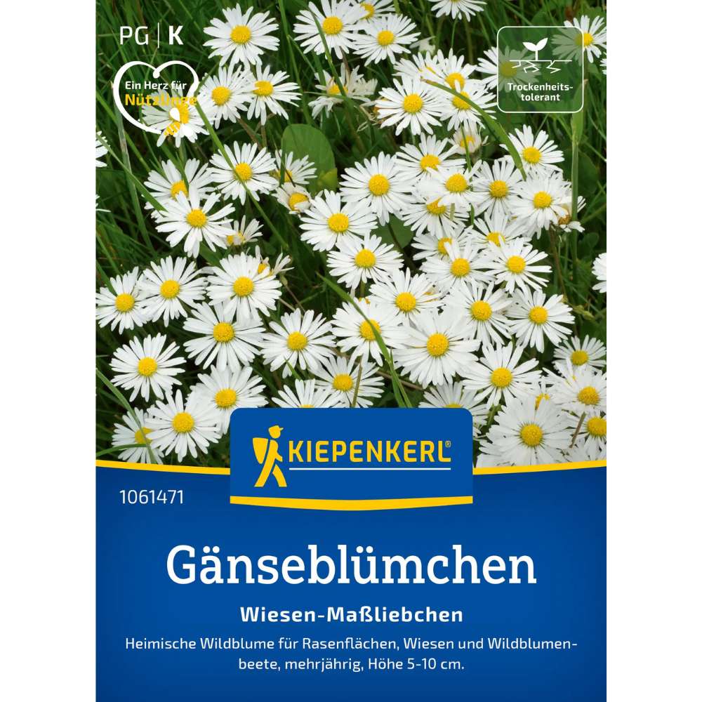 Seminte de margarete de camp, ajunge pentru 3 - 5 m²