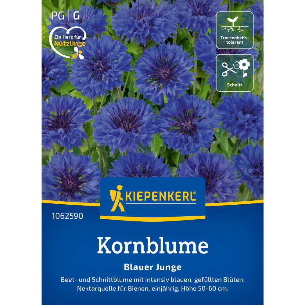 Seminte albastrele Blauer Junge – flori albastre pentru gradini rustice, cu protectie germinatie