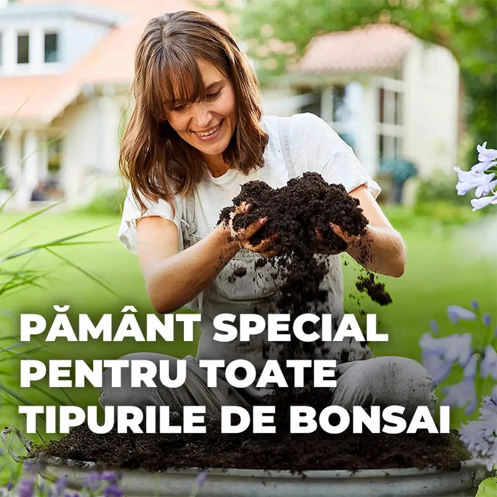 Pamant special Compo Sana pentru bonsai interior si exterior 5 litri cu fertilizare 8 saptamani