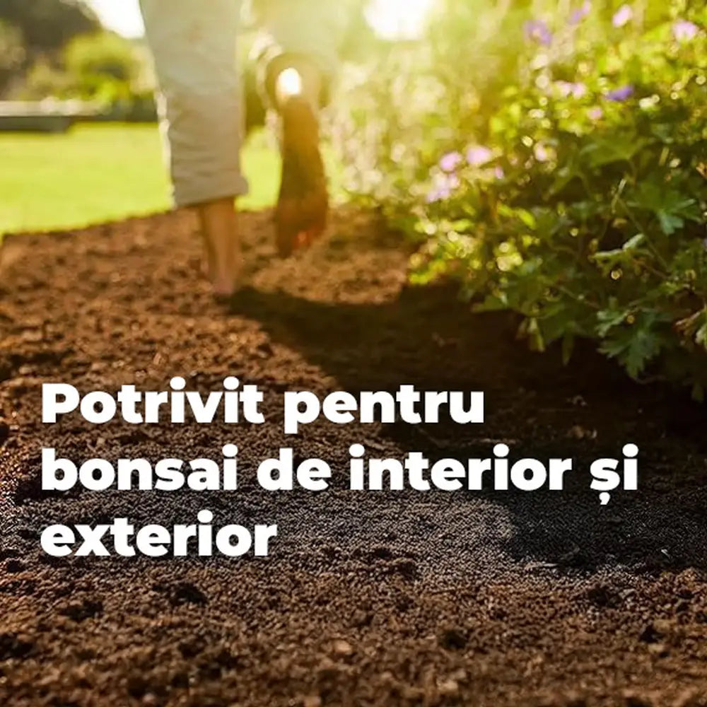 Pamant special Compo Sana pentru bonsai interior si exterior 5 litri cu fertilizare 8 saptamani