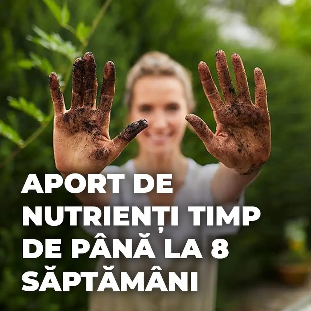 Pamant special Compo Sana pentru bonsai interior si exterior 5 litri cu fertilizare 8 saptamani