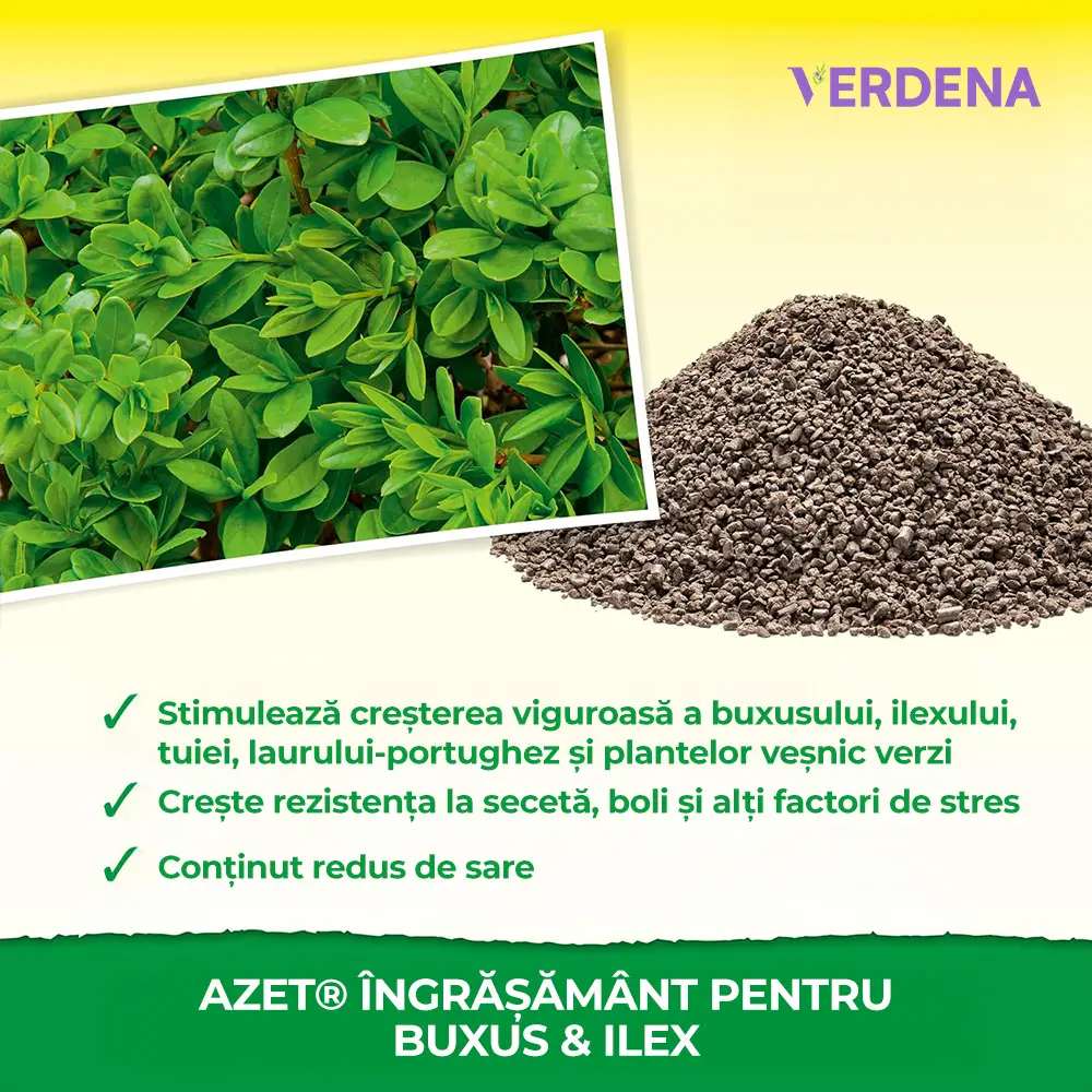 Ingrasamant organic Neudorff Azet pentru Buxus si Ilex 1 kg – efect imediat si de lunga durata pentru plante vesnic verzi sanatoase