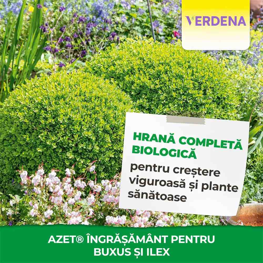 Ingrasamant organic Neudorff Azet pentru Buxus si Ilex 1 kg – efect imediat si de lunga durata pentru plante vesnic verzi sanatoase