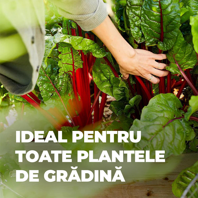 Ingrasamant Organic Natural cu Guano, 1 kg, COMPO