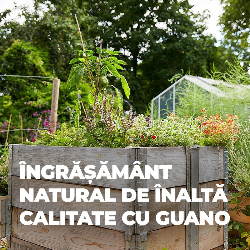 Ingrasamant Organic Natural cu Guano, 1 kg, COMPO
