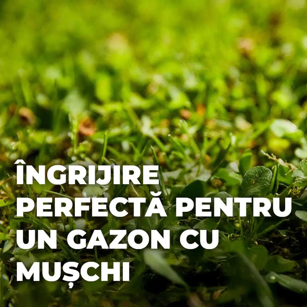 Ingrasamant gazon Compo anti-muschi granule fine 4 kg efect 6 saptamani pentru 160 mp