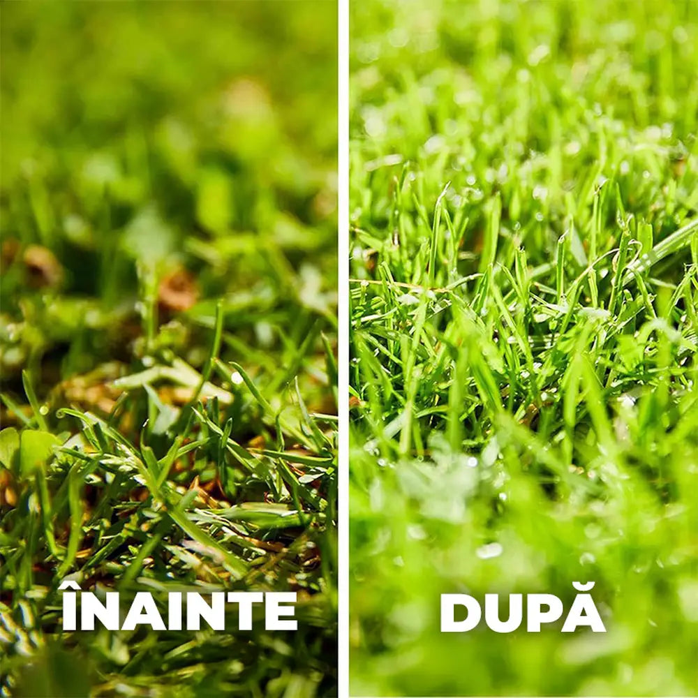 Ingrasamant gazon Compo anti-muschi granule fine 4 kg efect 6 saptamani pentru 160 mp