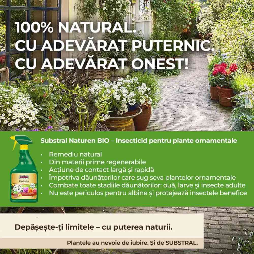 Insecticid Spray bio Substral Naturen impotriva daunatorilor pentru plante ornamentale de interior si gradina 750 ml