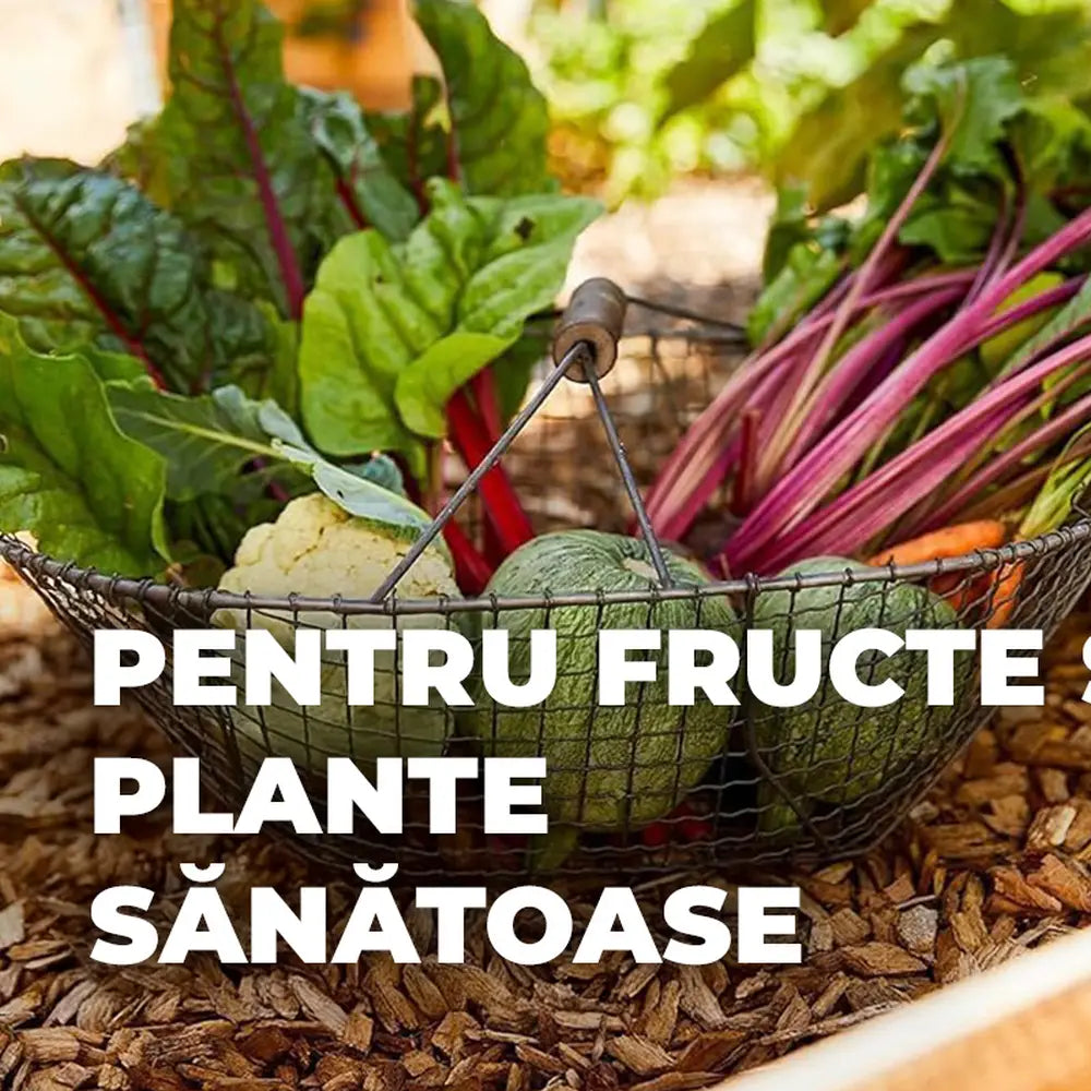 Pamant universal organic Compo pentru plante de interior legume fructe si ierburi aromatice 7.5 litri fara turba