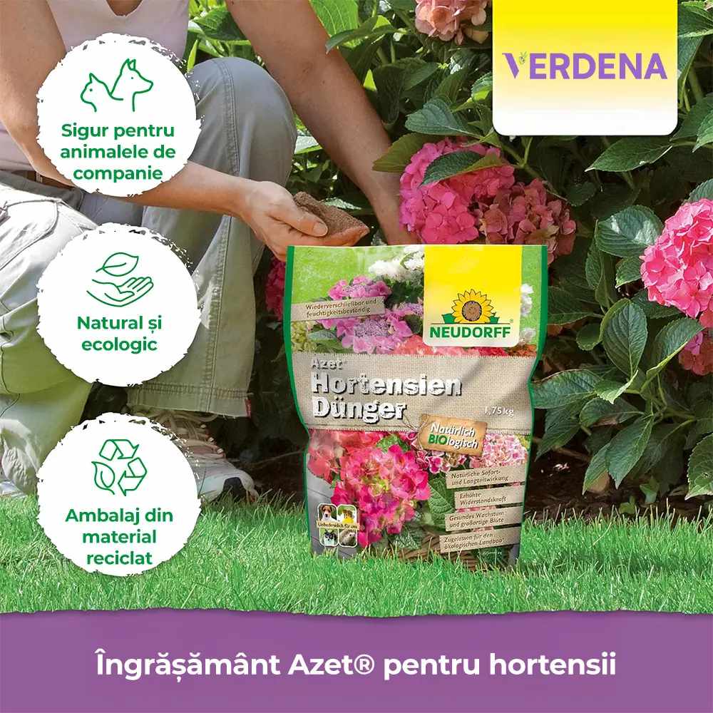 Ingrasamant organic Neudorff Azet pentru hortensii, camelii si bougainvillea 1.75 kg – inflorire intensa si radacini puternice
