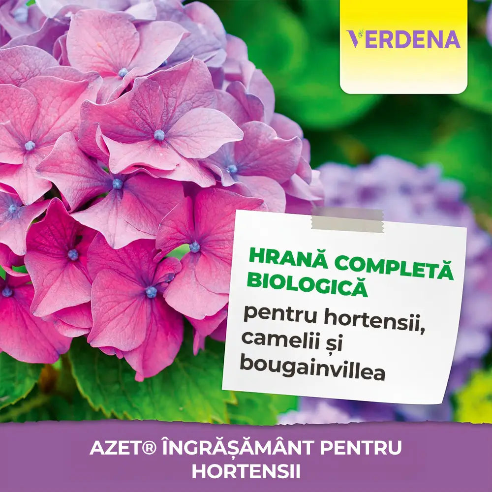 Ingrasamant organic Neudorff Azet pentru hortensii, camelii si bougainvillea 1.75 kg – inflorire intensa si radacini puternice