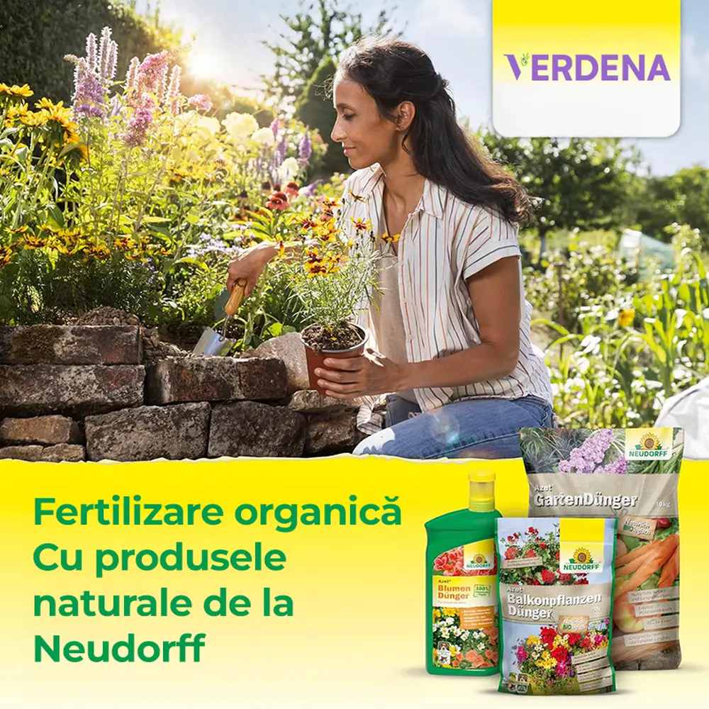 Ingrasamant organic Neudorff Azet pentru hortensii, camelii si bougainvillea 1.75 kg – inflorire intensa si radacini puternice
