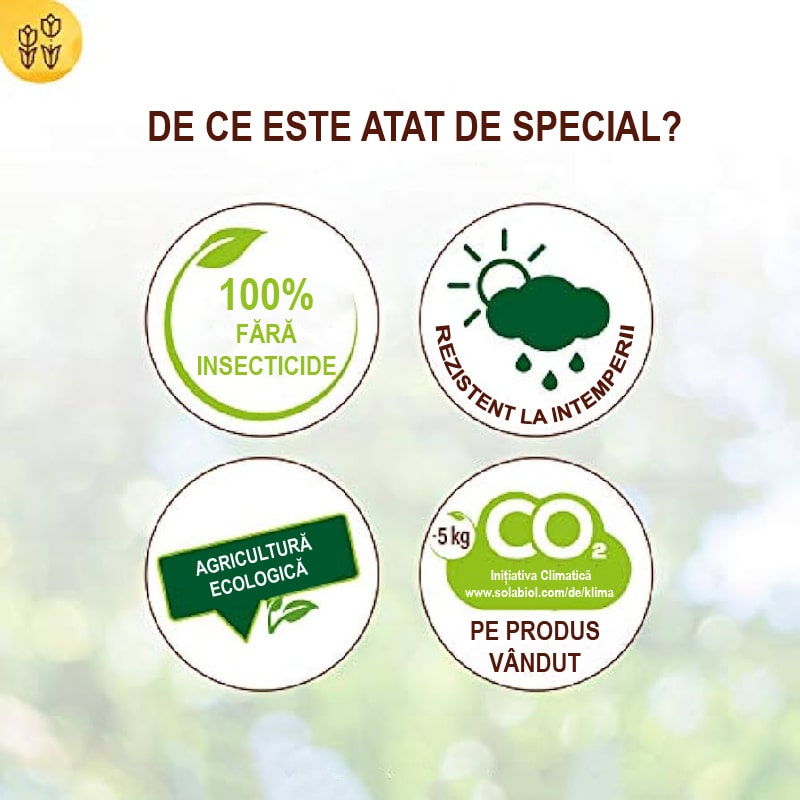 Banda Adeziva pentru Combaterea Daunatorilor la Pomi, 5m, SOLABIOL