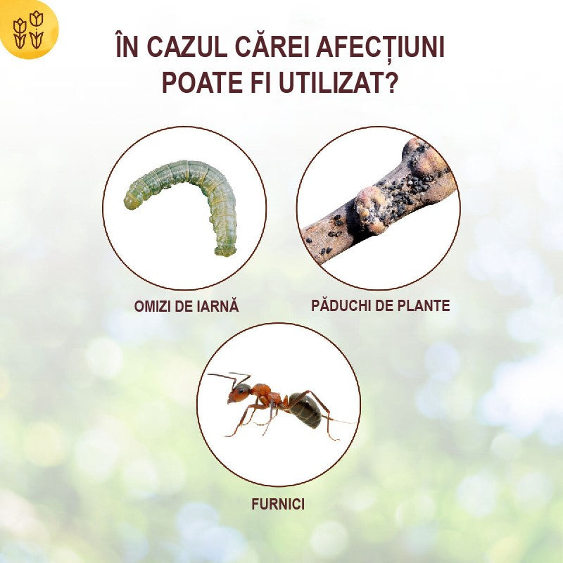 Banda Adeziva pentru Combaterea Daunatorilor la Pomi, 5m, SOLABIOL