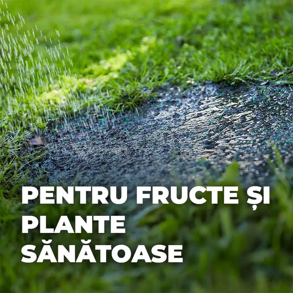 Compo Saat amestec 2in1 pentru insamantare gazon si fertilizare – 1.2 kg pentru 50 mp