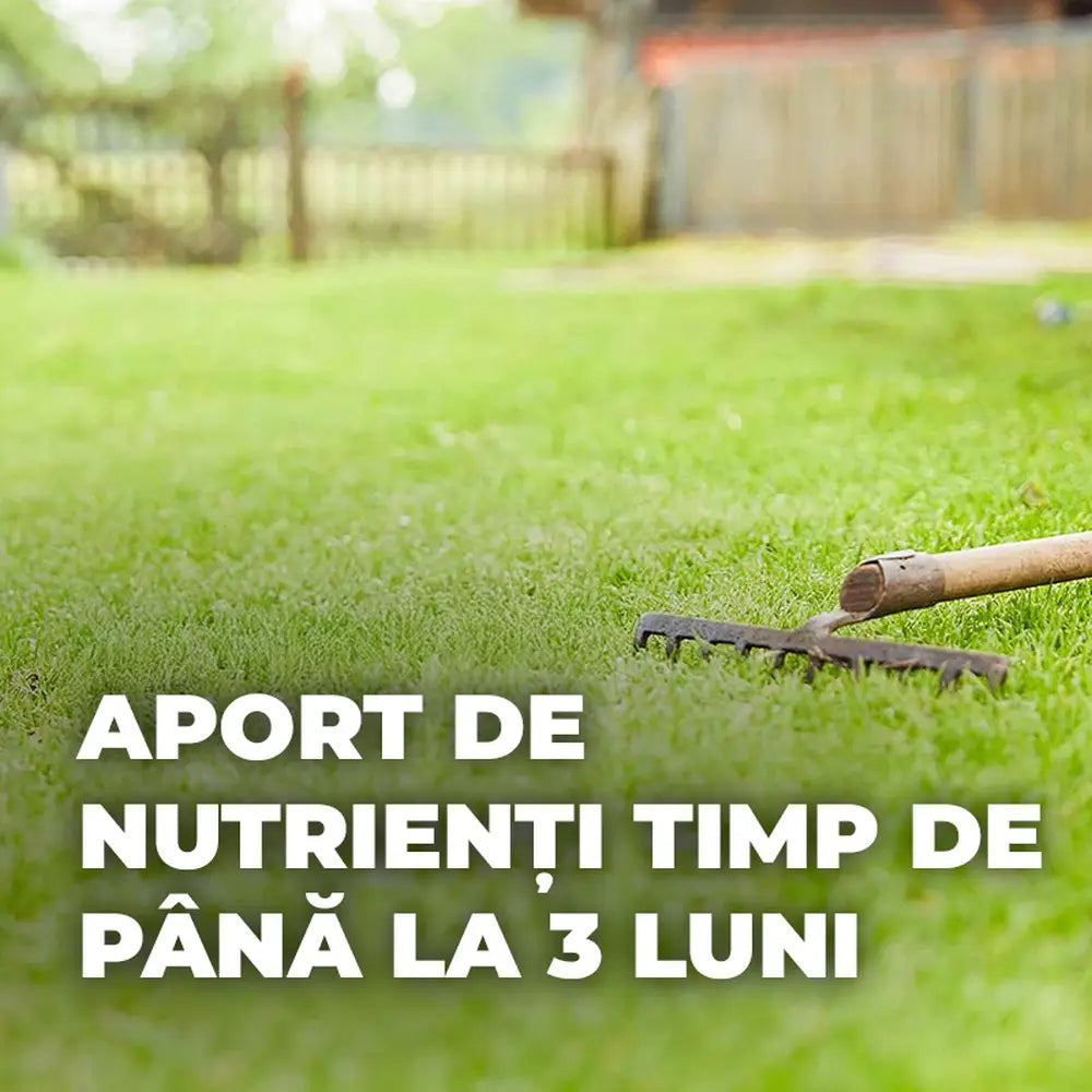 Compo Saat amestec 2in1 pentru insamantare gazon si fertilizare – 1.2 kg pentru 50 mp