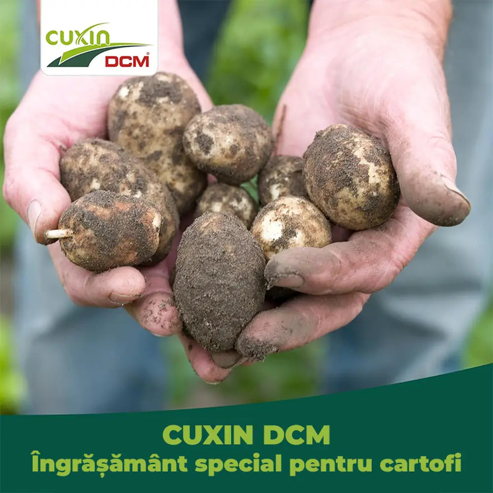 Ingrasamant organic Cuxin DCM pentru cartofi 1.5 kg cu tehnologie Minigran pentru 30 mp