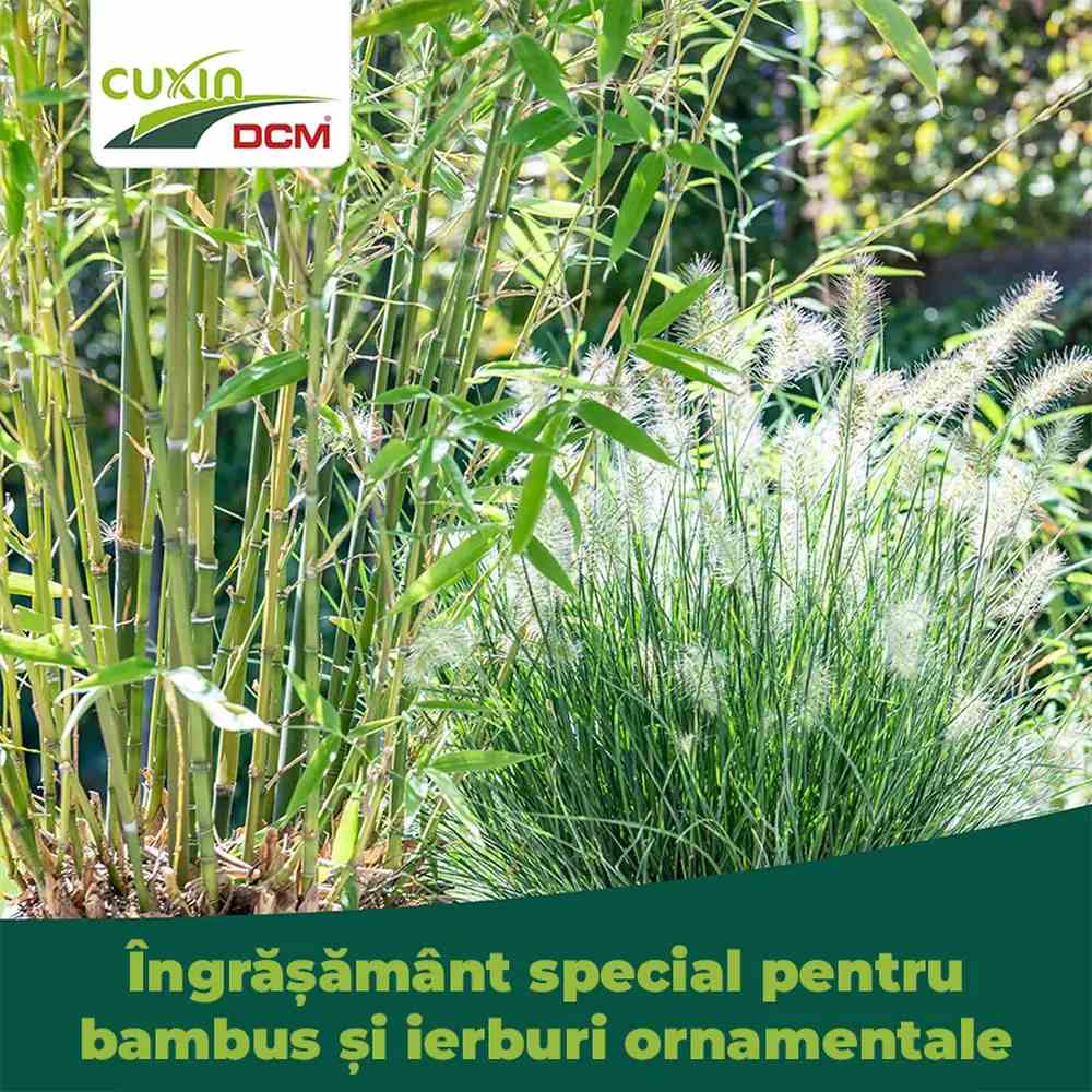 Ingrasamant special Cuxin DCM pentru bambus si ierburi decorative 1.5 kg cu siliciu si magneziu – fertilizare organo-minerala cu eliberare controlata