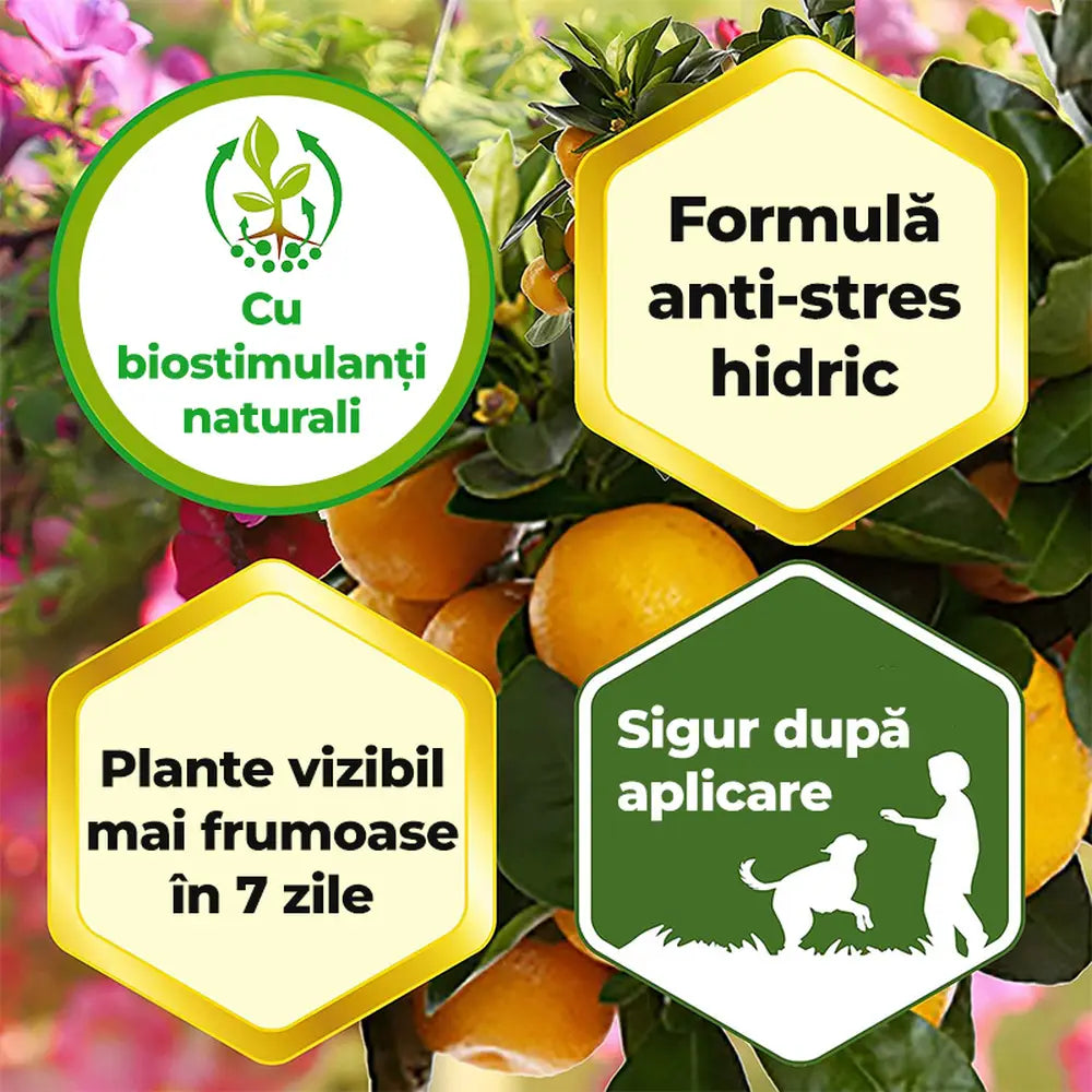 Fertilizant lichid Substral cu fier impotriva clorozei si frunzelor galbene pentru plante ornamentale si gazon 250 ml