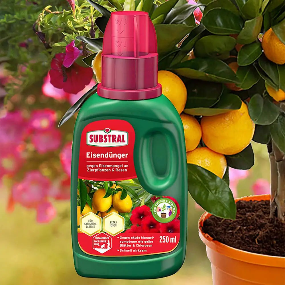 Fertilizant lichid Substral cu fier impotriva clorozei si frunzelor galbene pentru plante ornamentale si gazon 250 ml