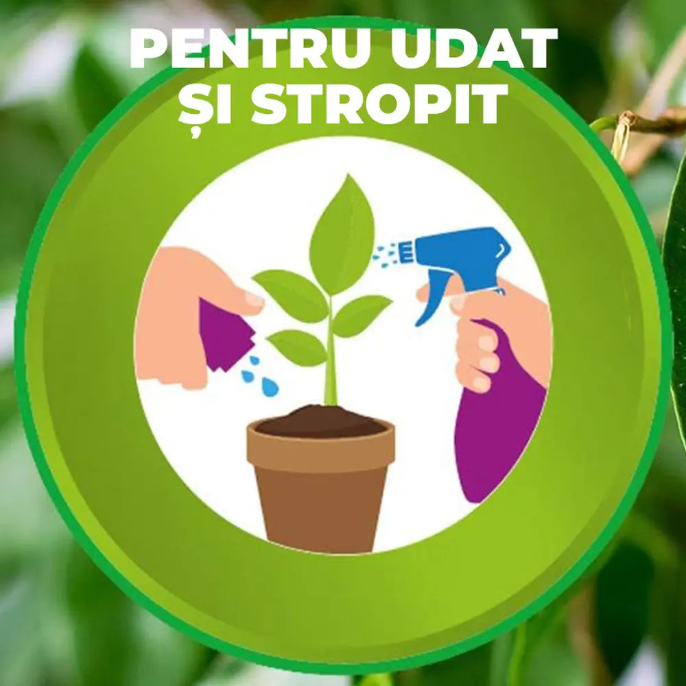 Fertilizant lichid Substral cu fier impotriva clorozei si frunzelor galbene pentru plante ornamentale si gazon 250 ml