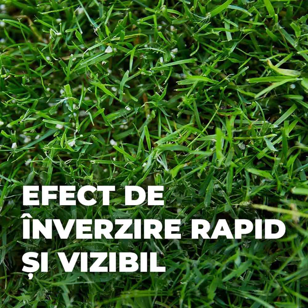 Ingrasamant gazon Compo efect de 3 luni 8 kg pentru 320 mp granule fine